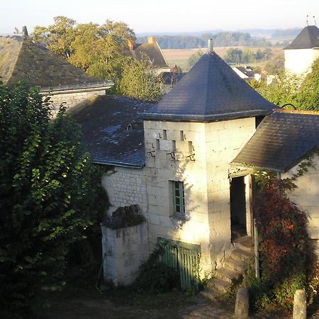 Manoir De Boisairault Acomodação com café da manhã Le Coudray-Macouard Exterior foto