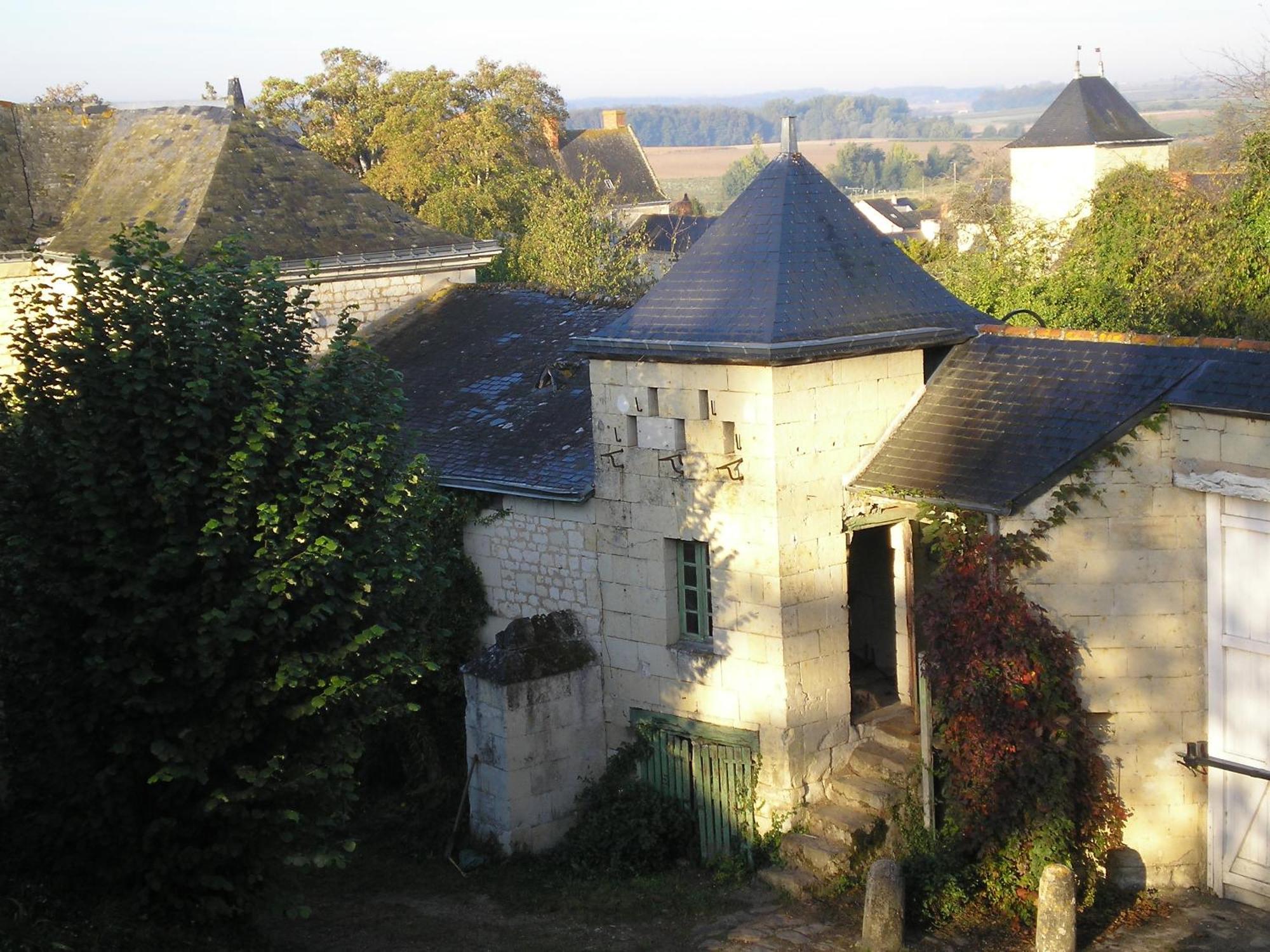 Manoir De Boisairault Acomodação com café da manhã Le Coudray-Macouard Exterior foto