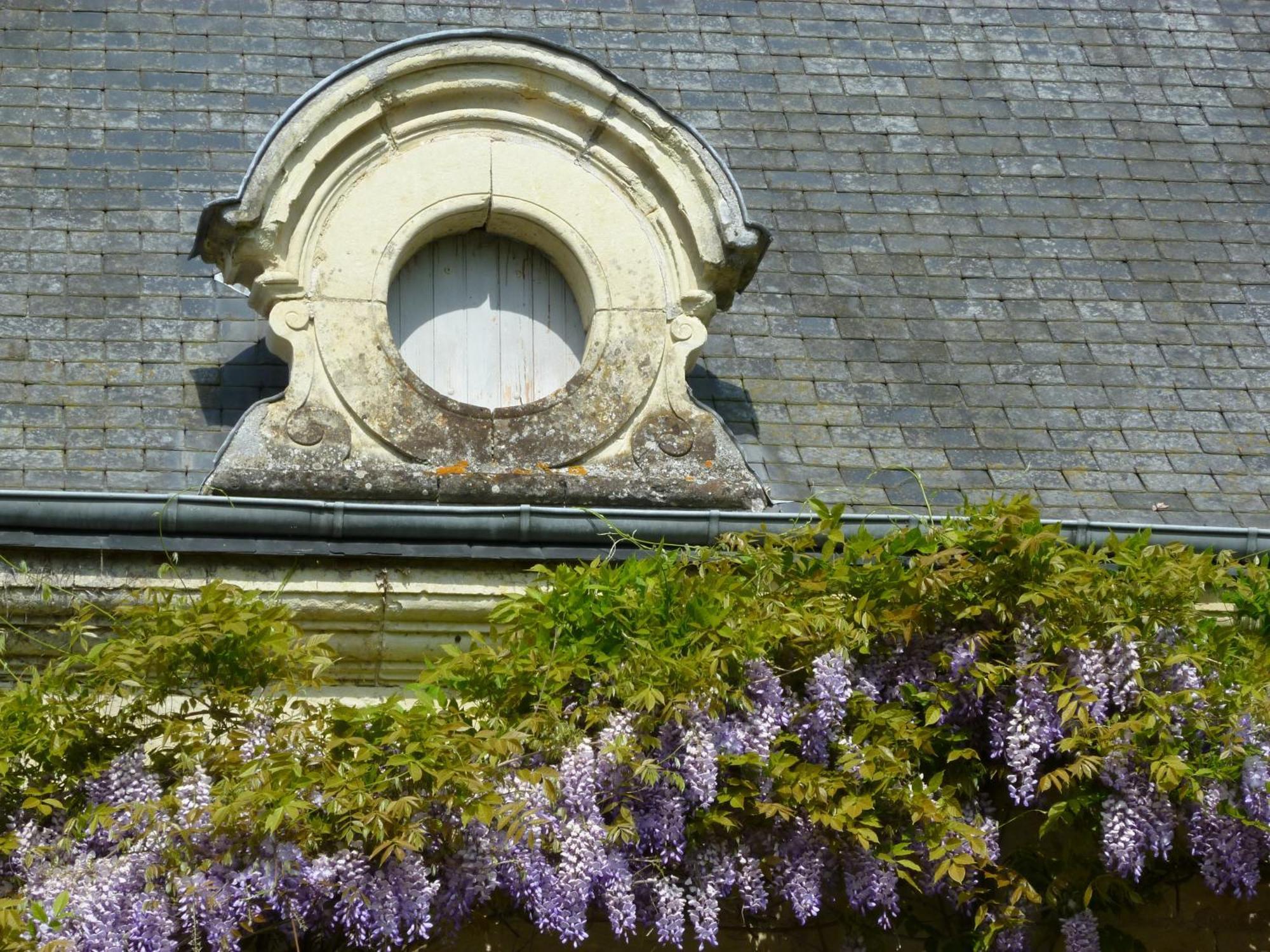 Manoir De Boisairault Acomodação com café da manhã Le Coudray-Macouard Exterior foto