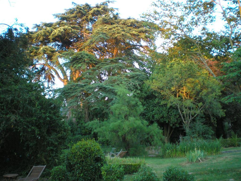 Manoir De Boisairault Acomodação com café da manhã Le Coudray-Macouard Exterior foto