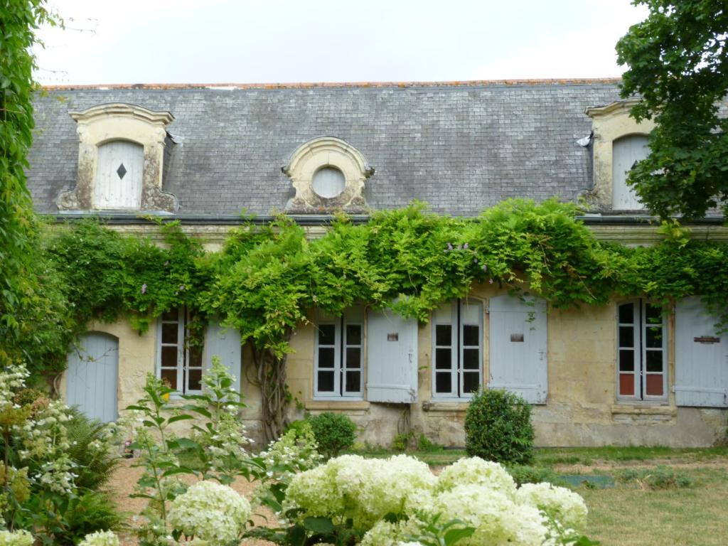 Manoir De Boisairault Acomodação com café da manhã Le Coudray-Macouard Exterior foto