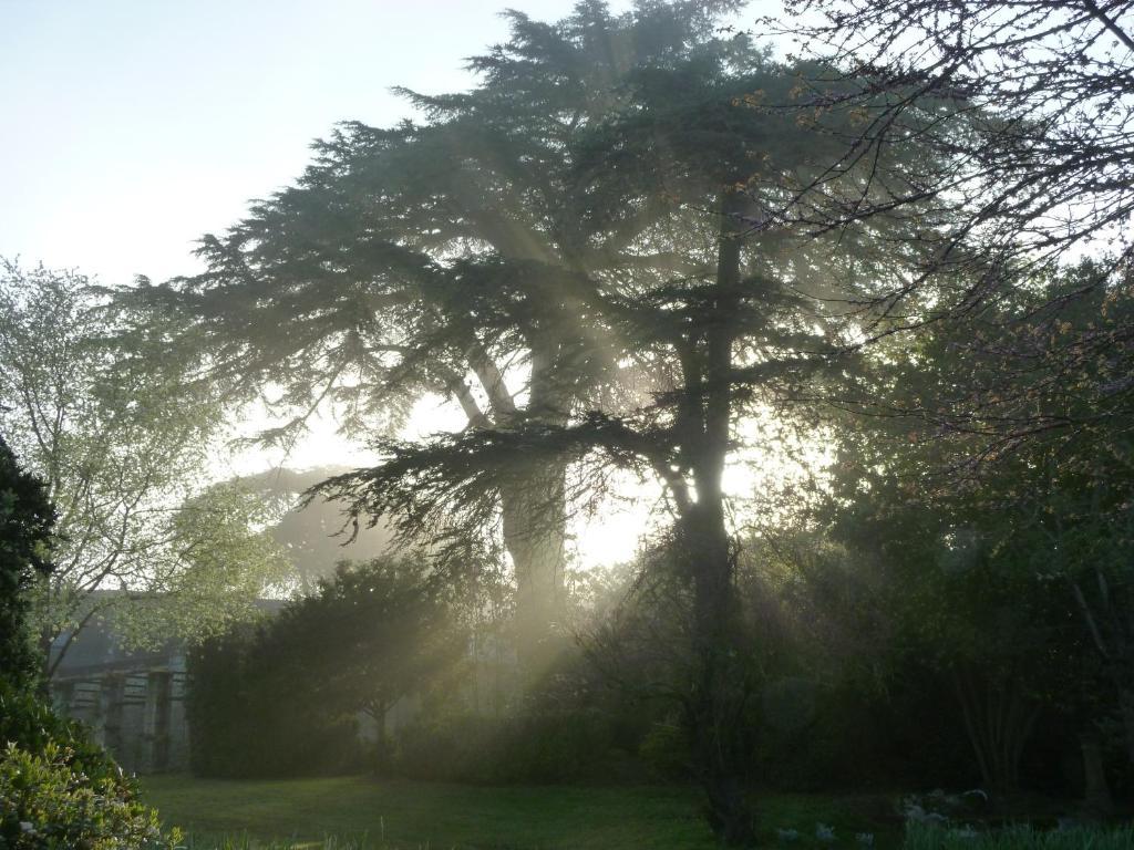 Manoir De Boisairault Acomodação com café da manhã Le Coudray-Macouard Exterior foto