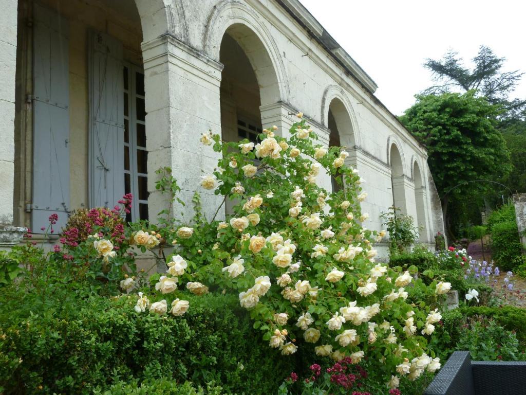 Manoir De Boisairault Acomodação com café da manhã Le Coudray-Macouard Exterior foto