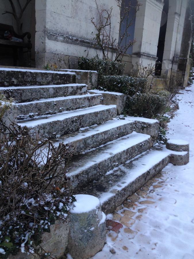 Manoir De Boisairault Acomodação com café da manhã Le Coudray-Macouard Exterior foto
